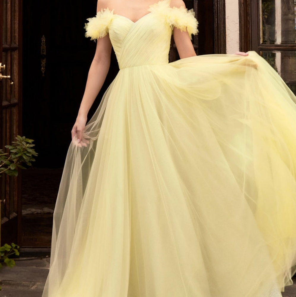 Cinderella Divine CD957 Size 4 Yellow Brand New with tags